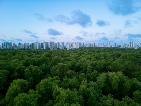 Trouvez l'emplacement idéal pour vos panneaux solaires sur votre toit : le guide essentiel à ne pas manquer !